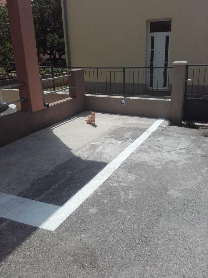 Apartmán Maremy Zadar Exteriér fotografie